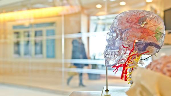 Brain Capital, an Investment Opportunity. Here’s What It Will Take to Build the Market.