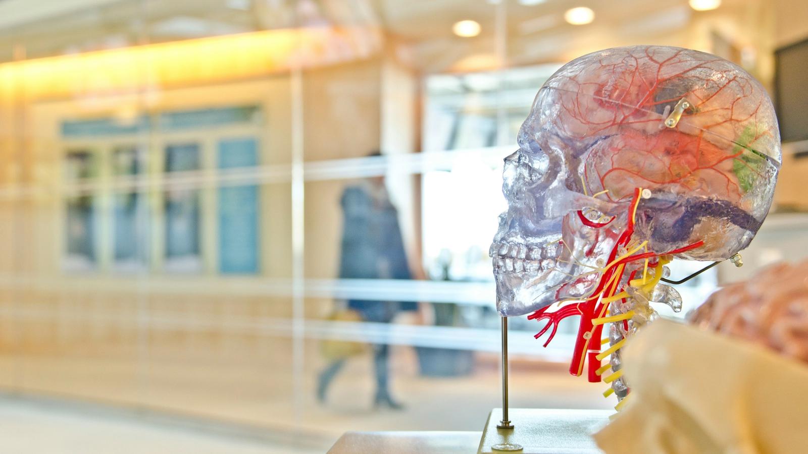 Brain Capital, an Investment Opportunity. Here’s What It Will Take to Build the Market.