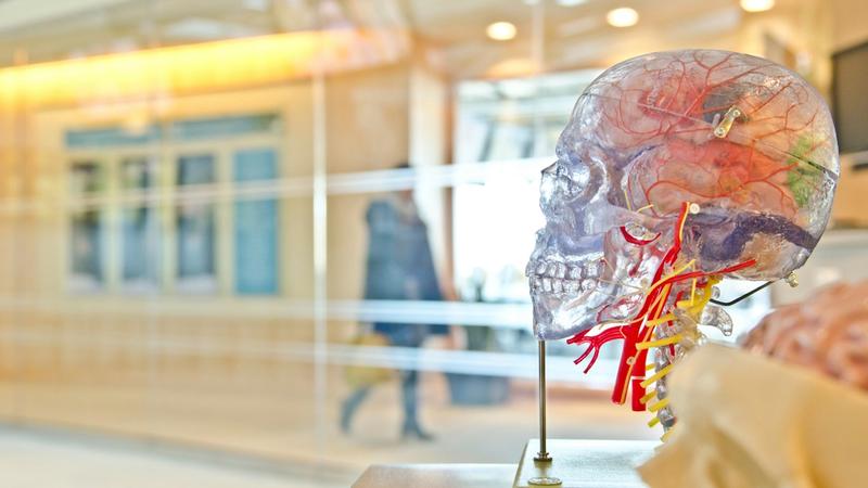Brain Capital, an Investment Opportunity. Here’s What It Will Take to Build the Market.