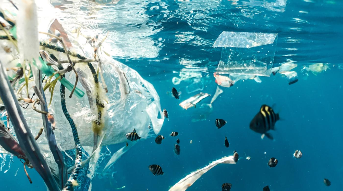 The Single-Use Plastics Challenge Report