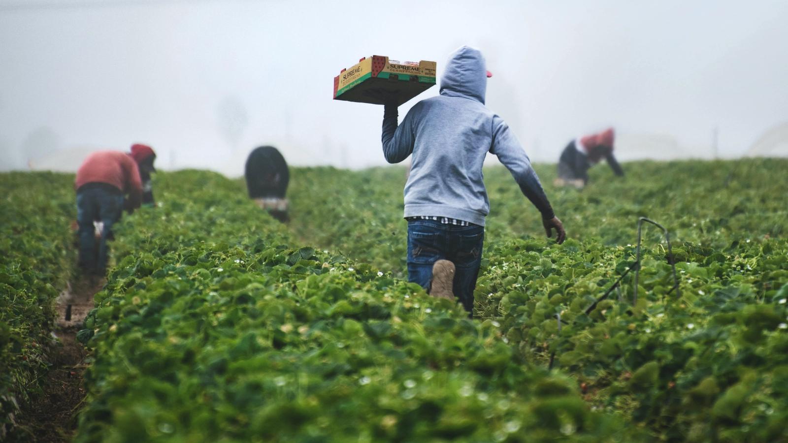 A Collaborative Model for Food Systems Change