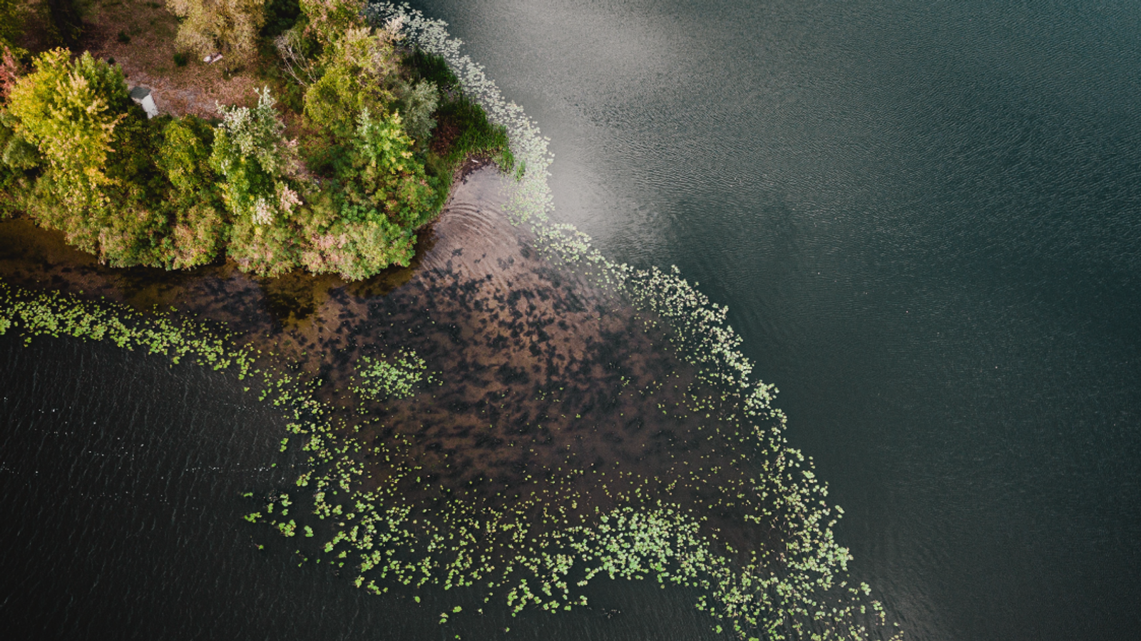 COP 27: On The Importance of Ecosystem Building