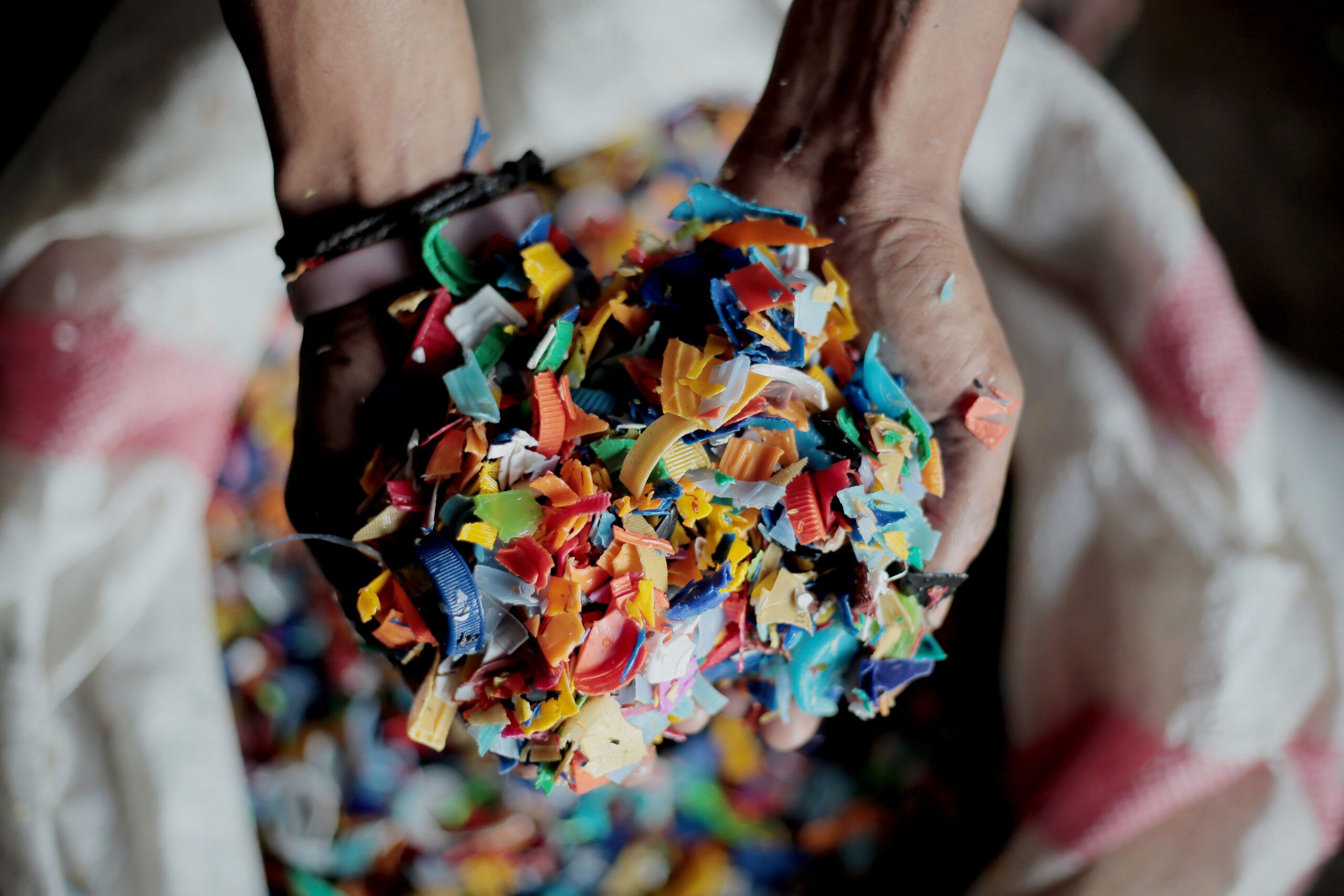 Circular Innovation Strategy