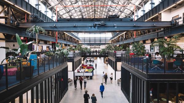 Todd Khozein on How New York Became a Climate Tech Hub