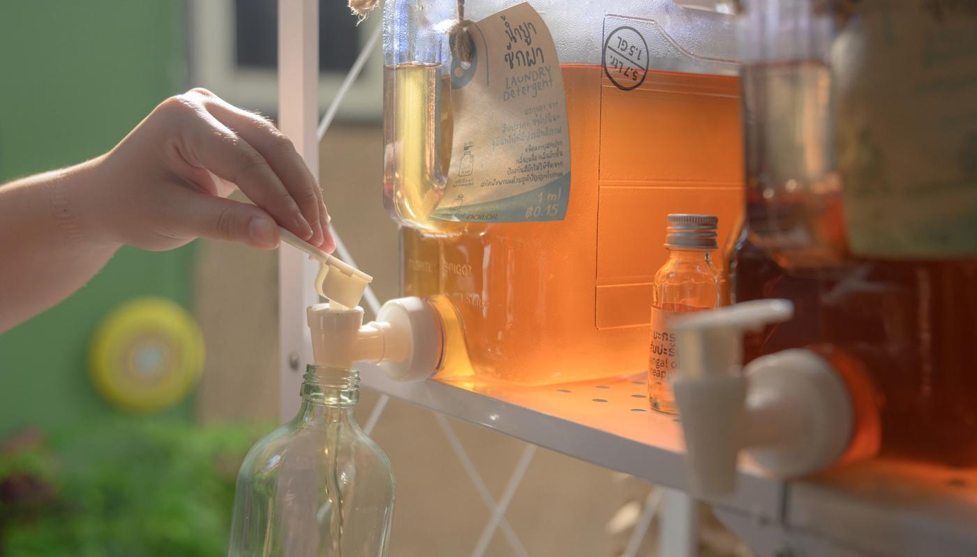 Supporting a Generation of Sustainable Entrepreneurs