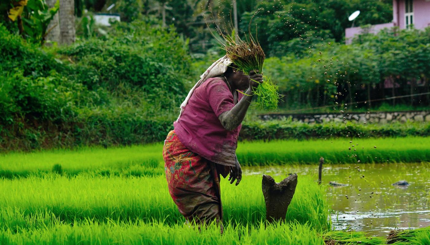 There Is a Distinct Relationship Between Gender Inequality and Climate Change