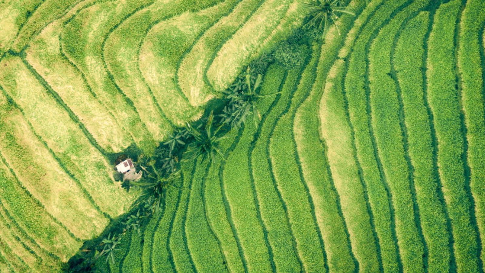 Food System Vision Prize: Building a Resilient Food Future