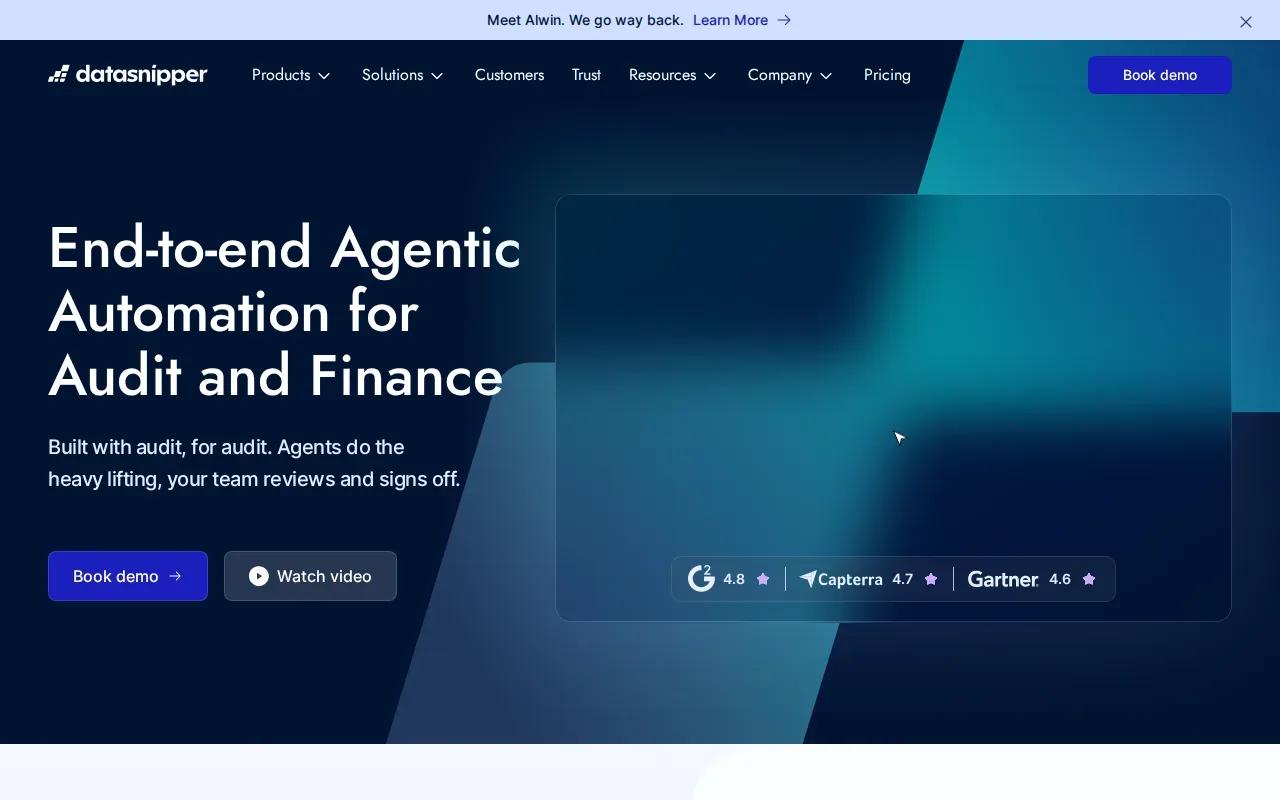 Screenshot of the DataSnipper website