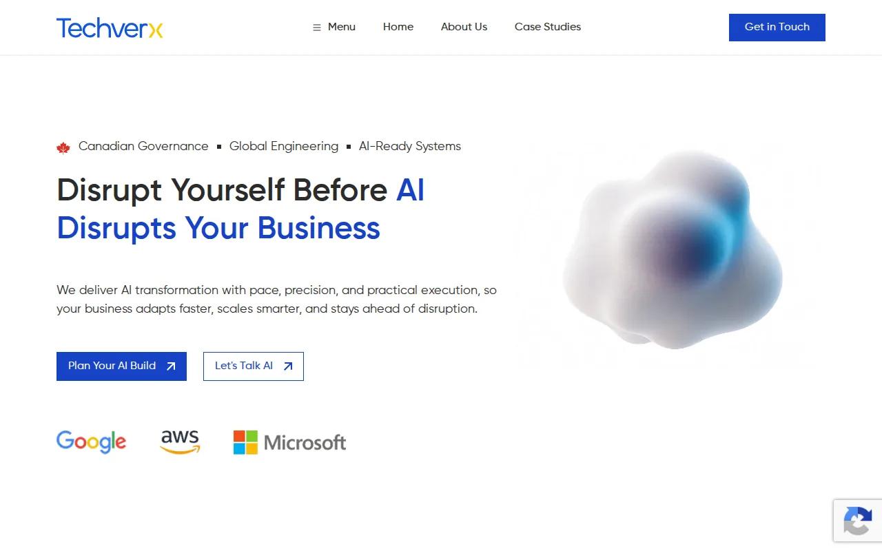 Techverx: visual reference for 2. Techverx, Broad software engineering support for ML delivery