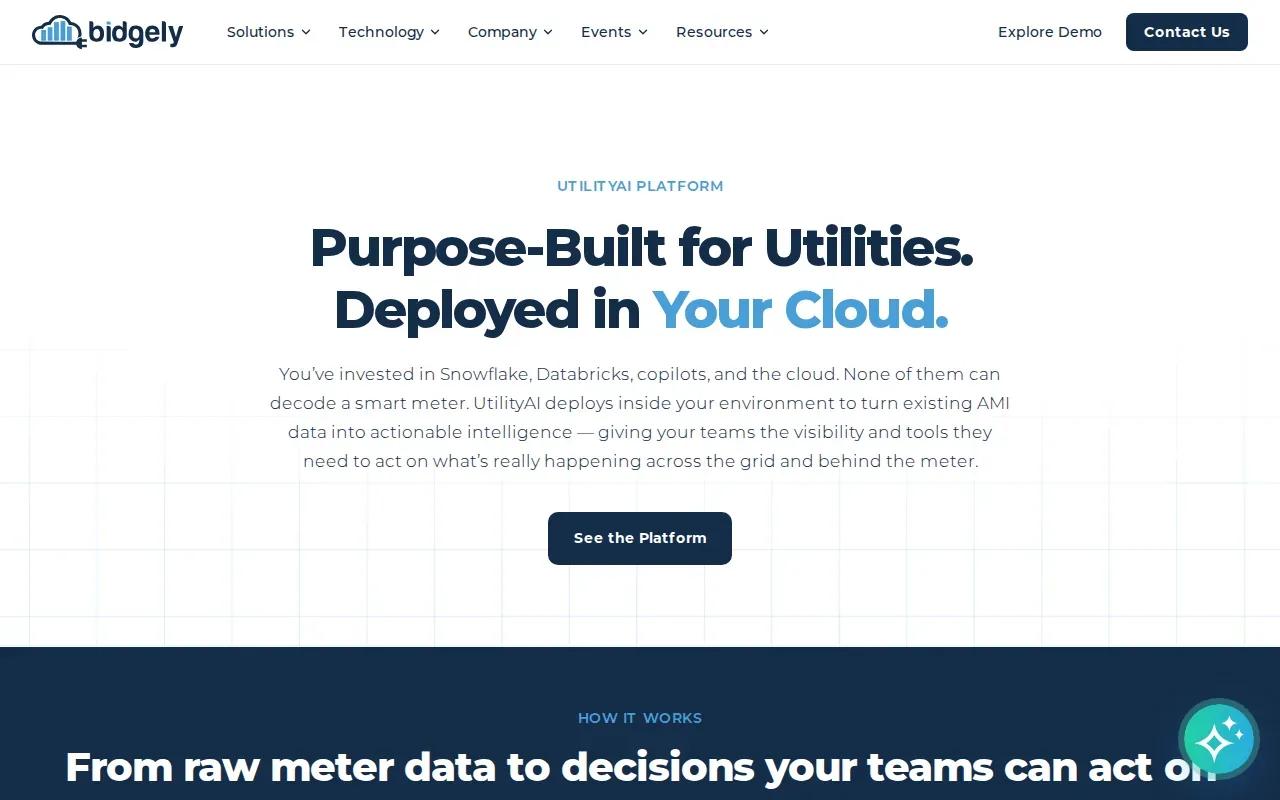 Screenshot of the Bidgely UtilityAI website