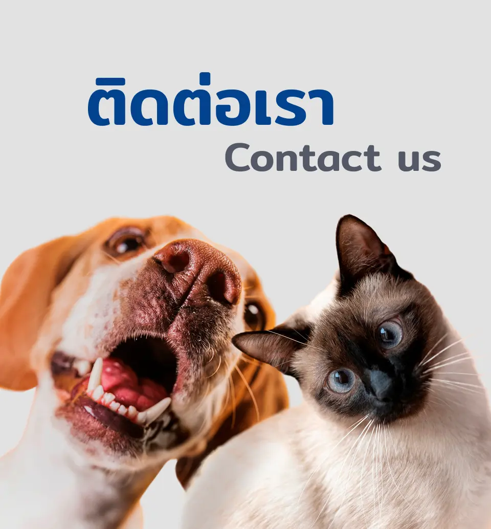 technicpet@technicpet.co.th technicpet@technicpet.co.th