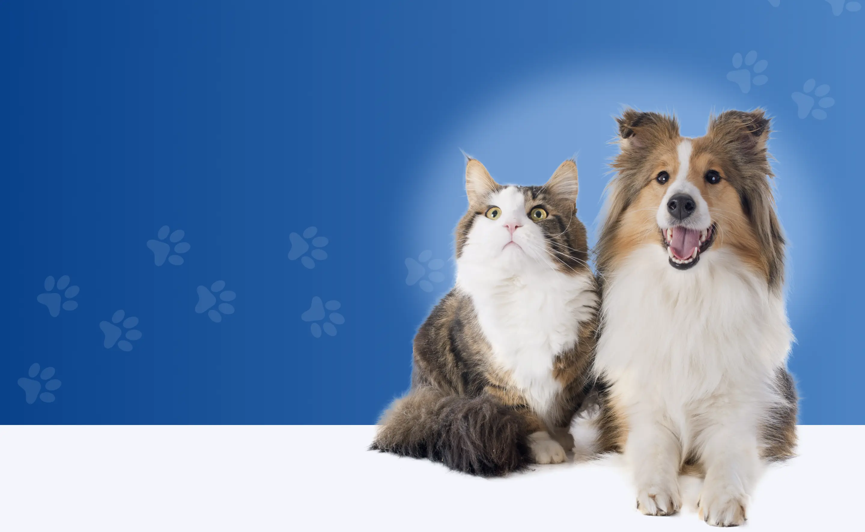 Technic PET Technic PET