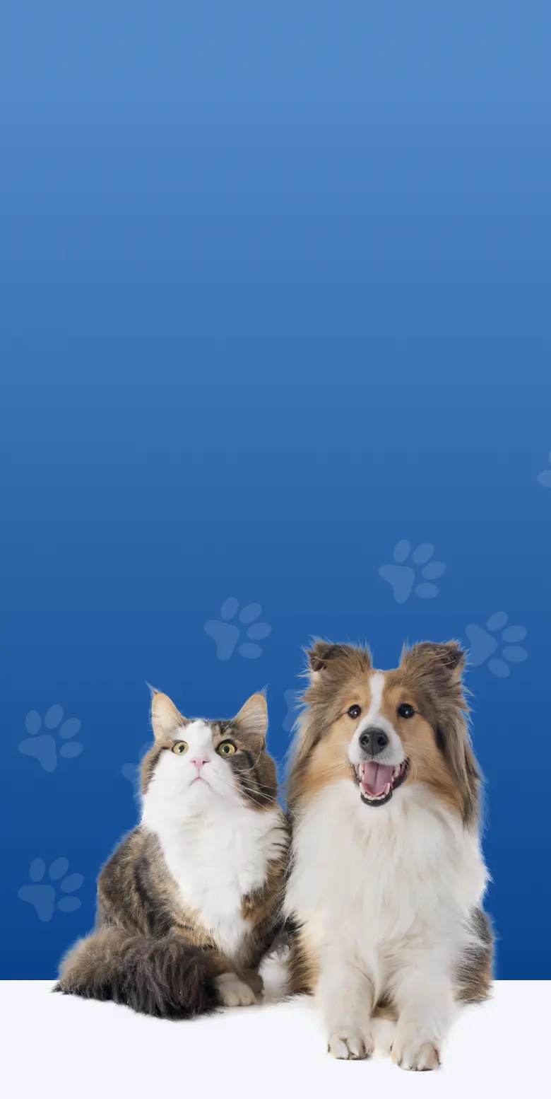 Technic PET Technic PET