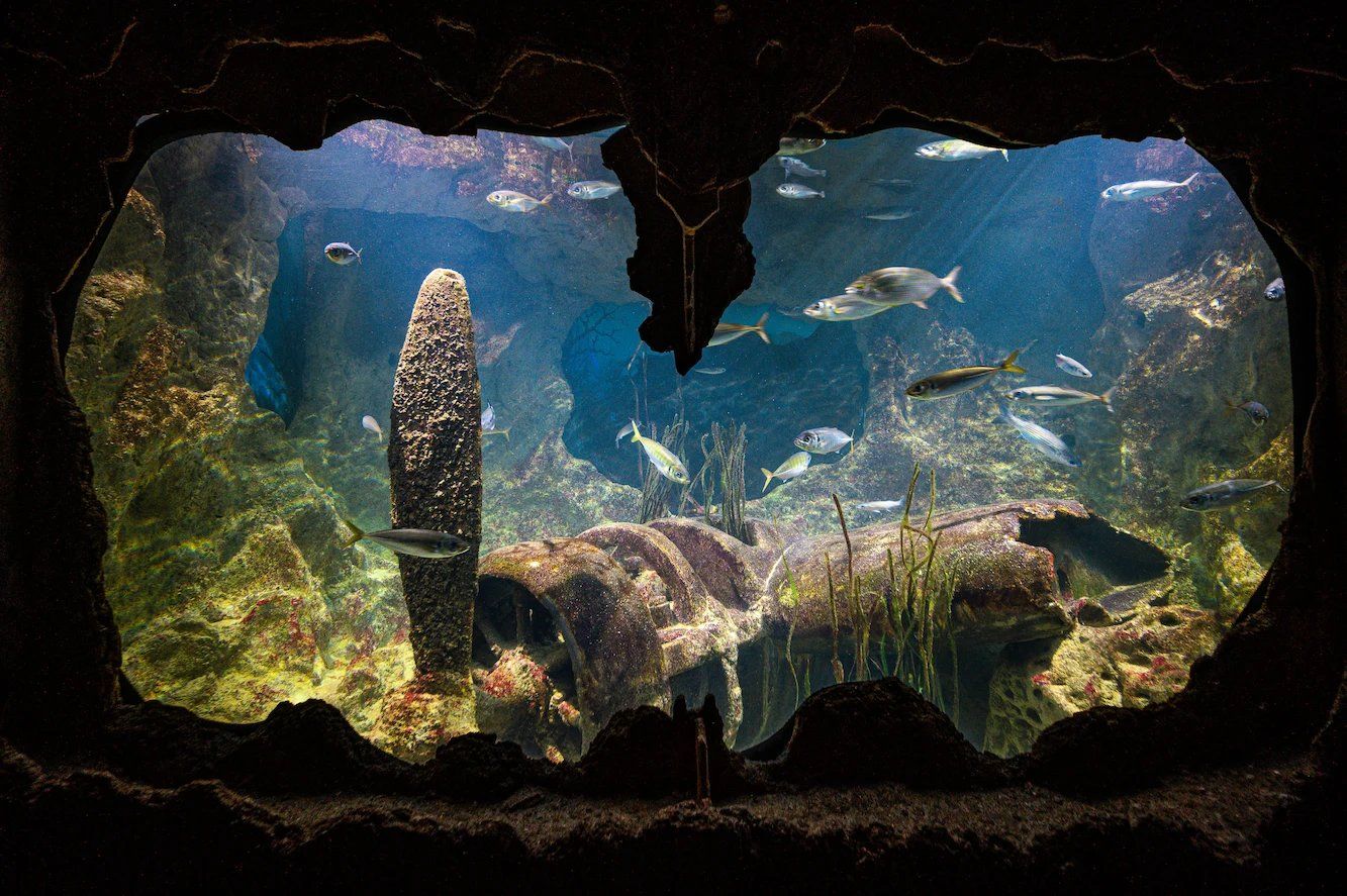 Malta National Aquarium