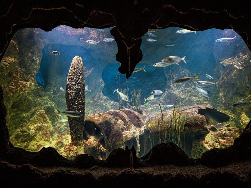 Malta National Aquarium