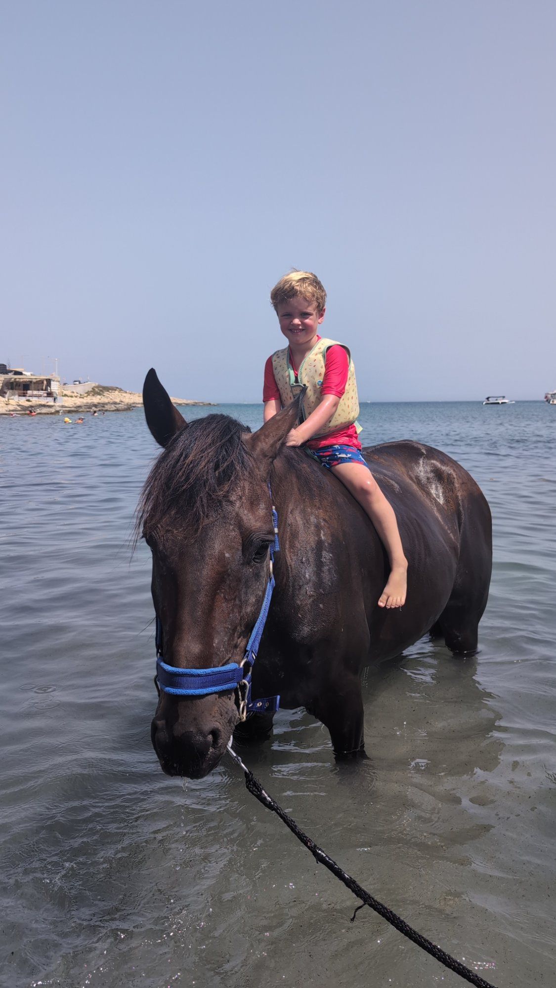 Swimming with Rescued Horses (Second Chance Horse Rescue)