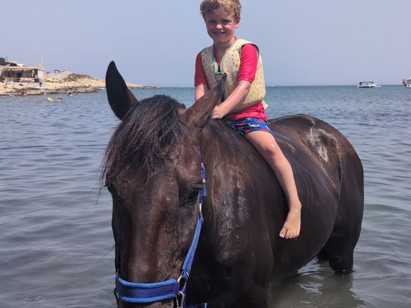 Swimming with Rescued Horses (Second Chance Horse Rescue)