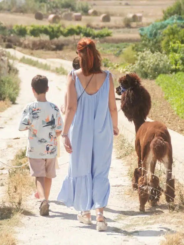 Gozo Alpaca Walks