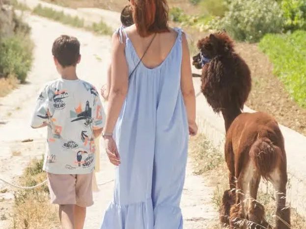 Gozo Alpaca Walks