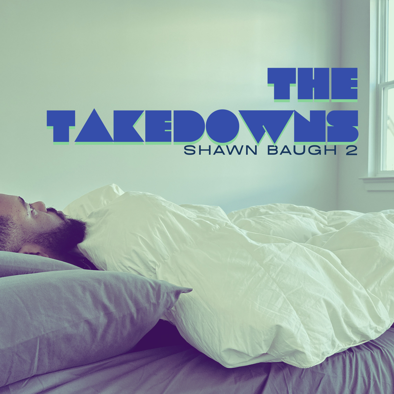 The Takedowns image