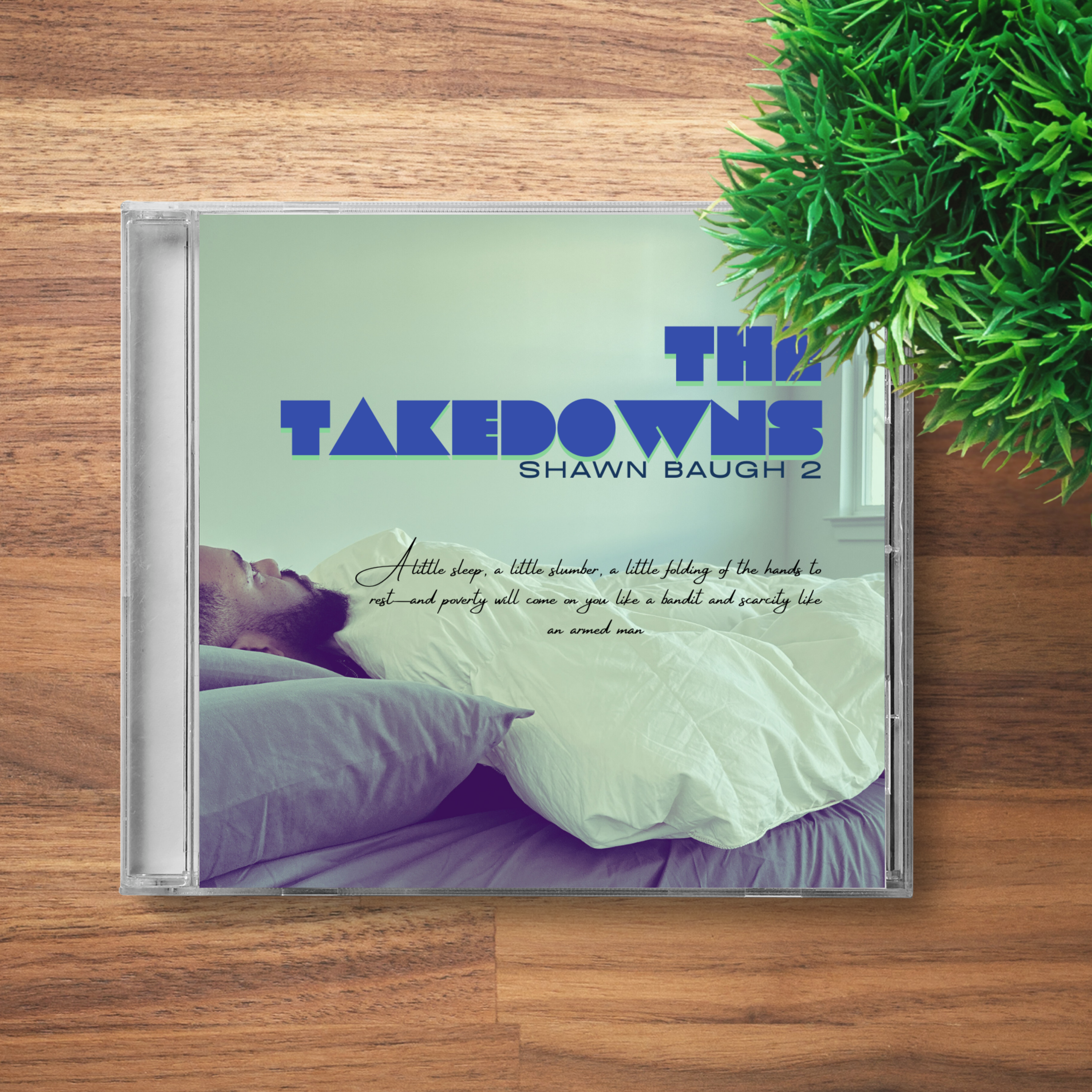 The Takedowns - CD image