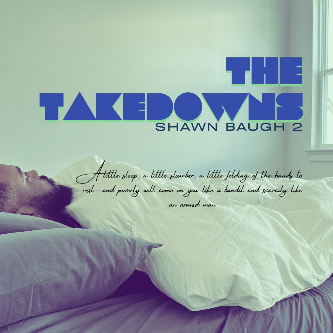 The Takedowns (Digital) image