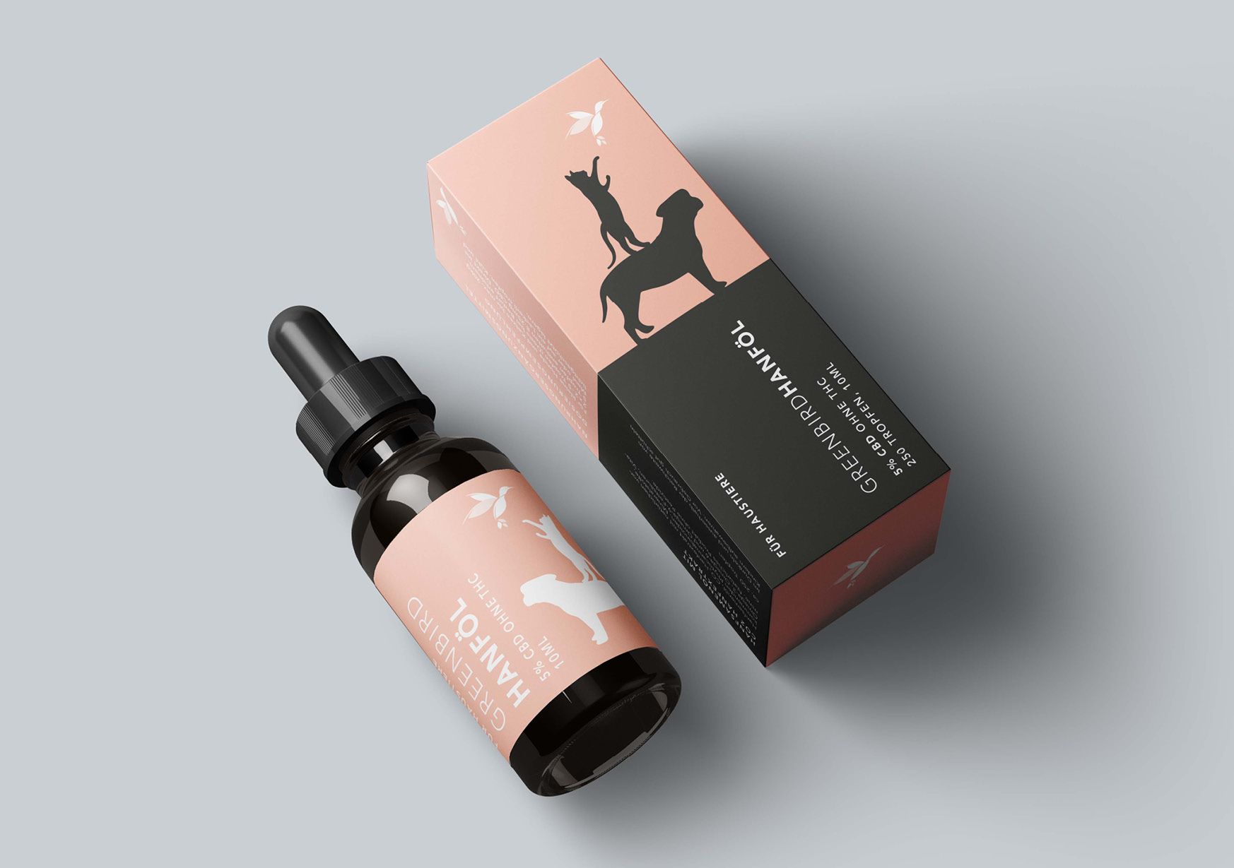 Visual from the Greenbird project — project image 16