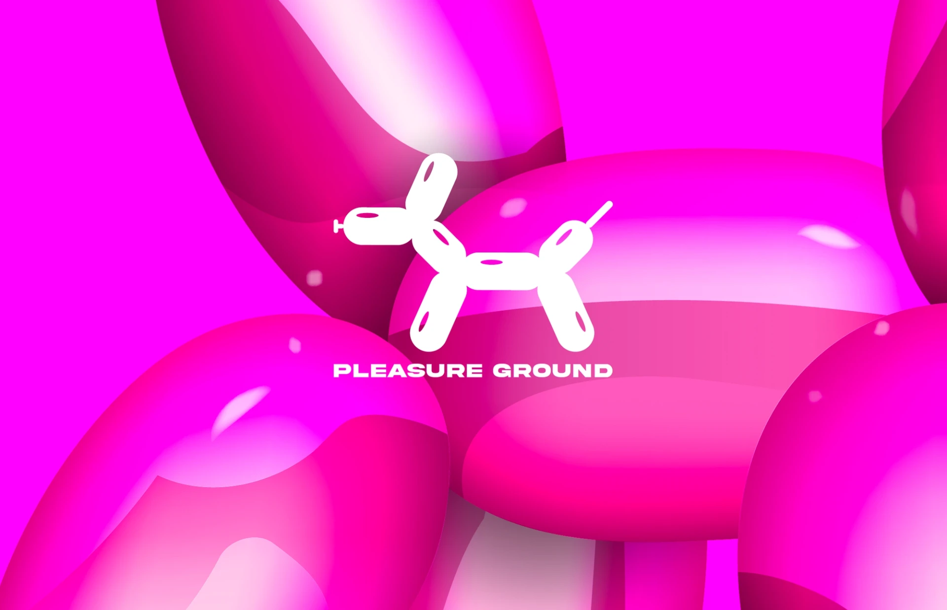 Visual aus dem Projekt Pleasure Ground — project image 2