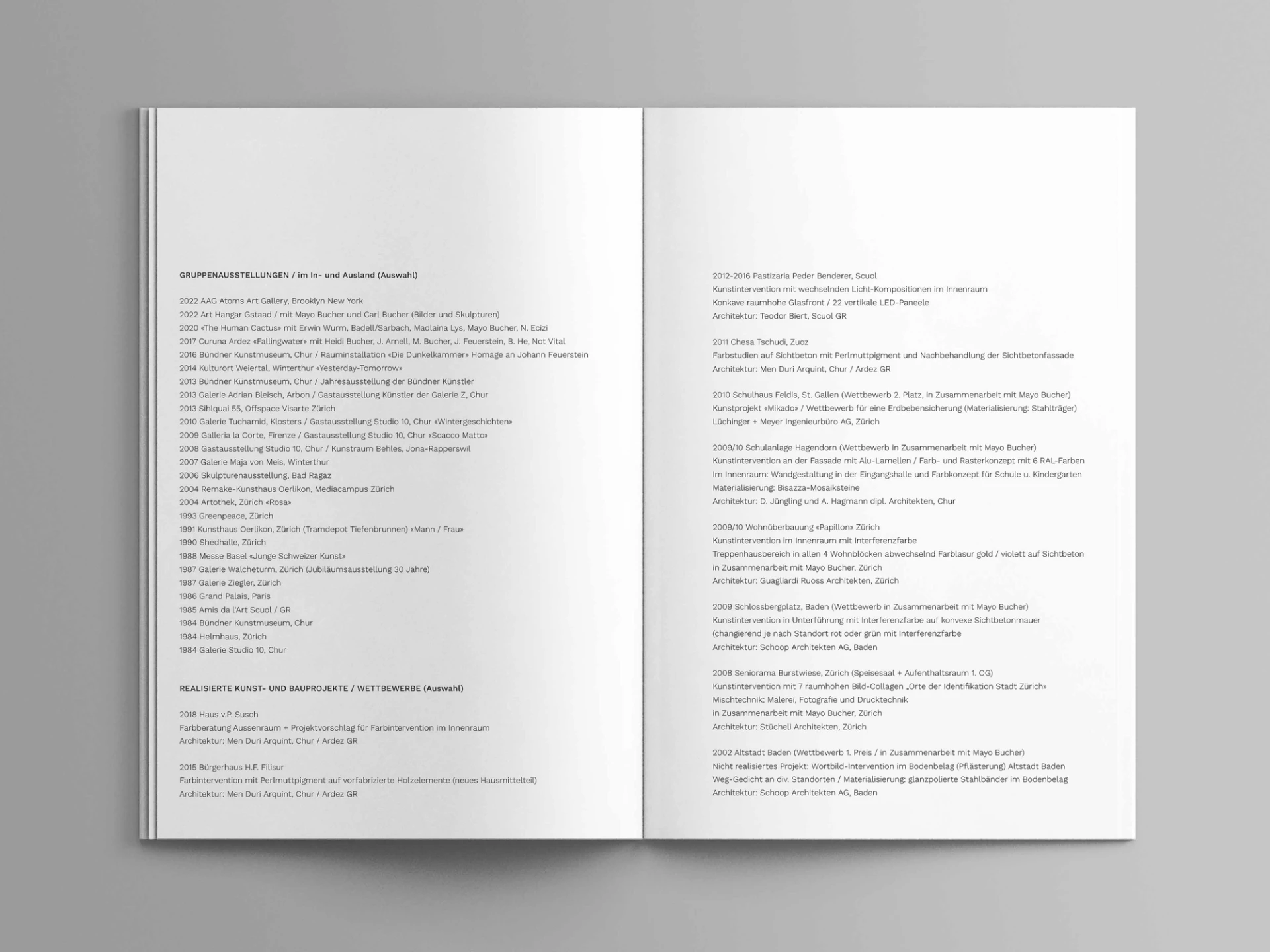 Visual from the A l'ur dal gad project — project image 15