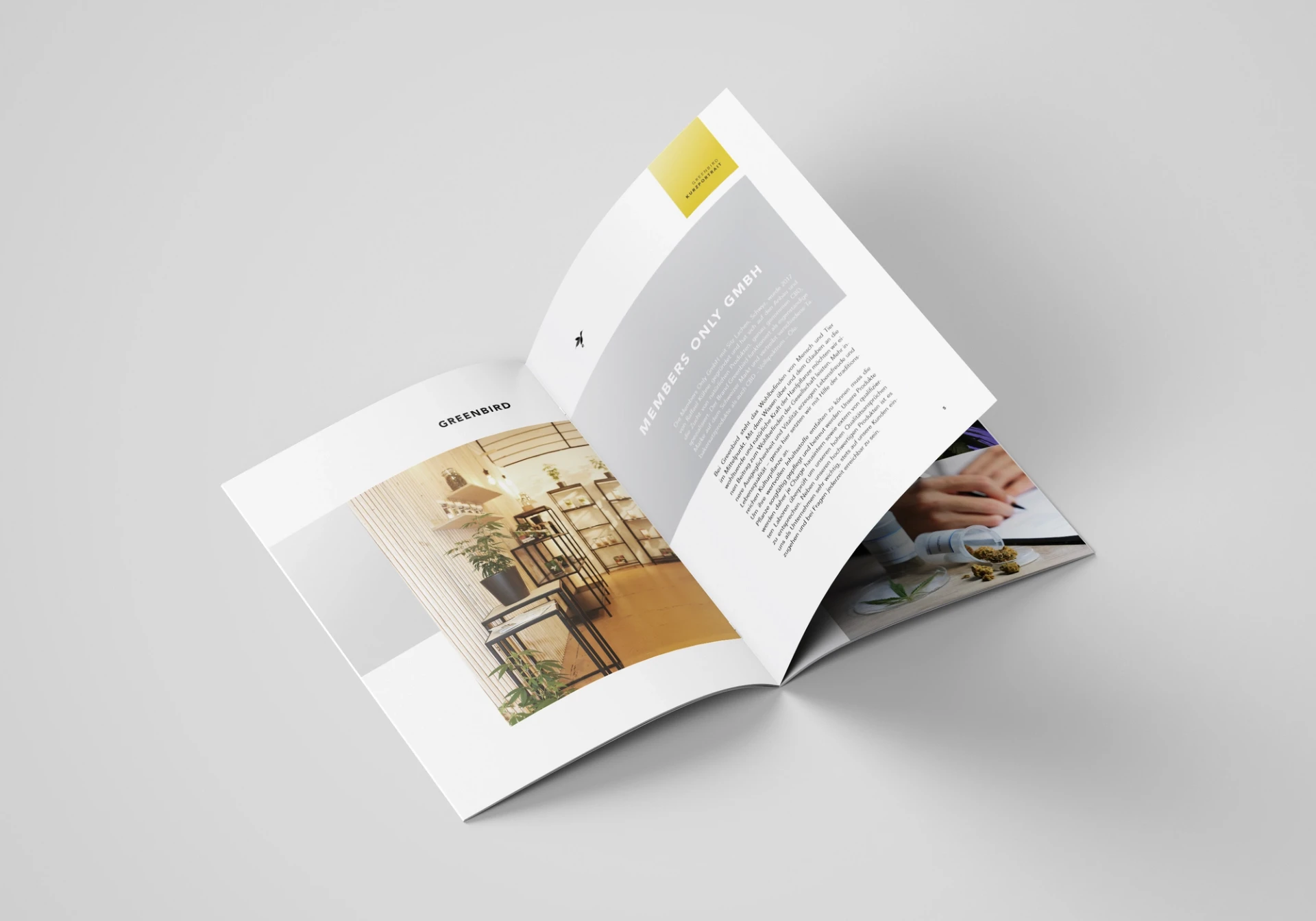 Visual aus dem Projekt Greenbird — project image 10