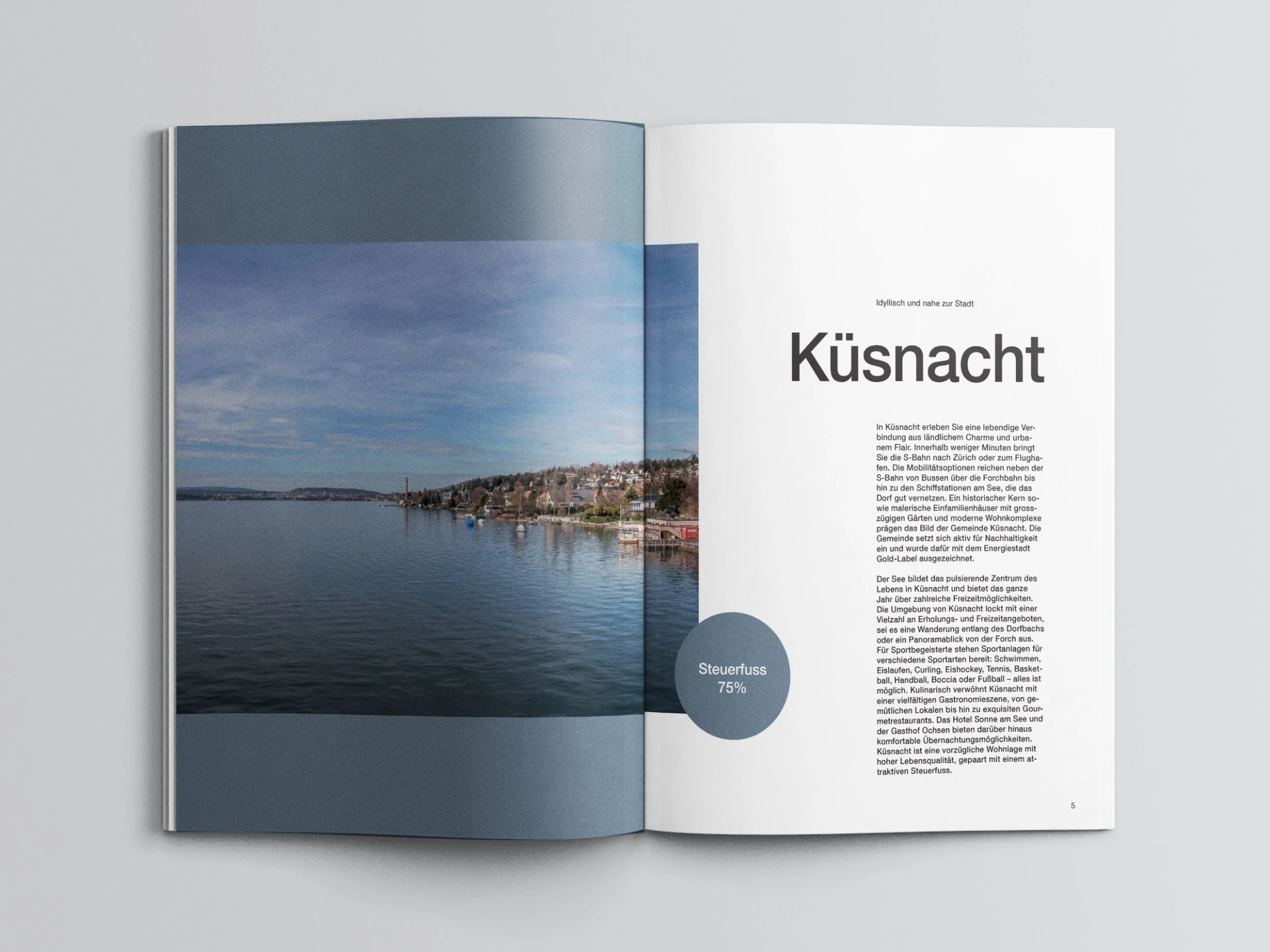 Visual from the Seehaus Küsnacht project — project image 3
