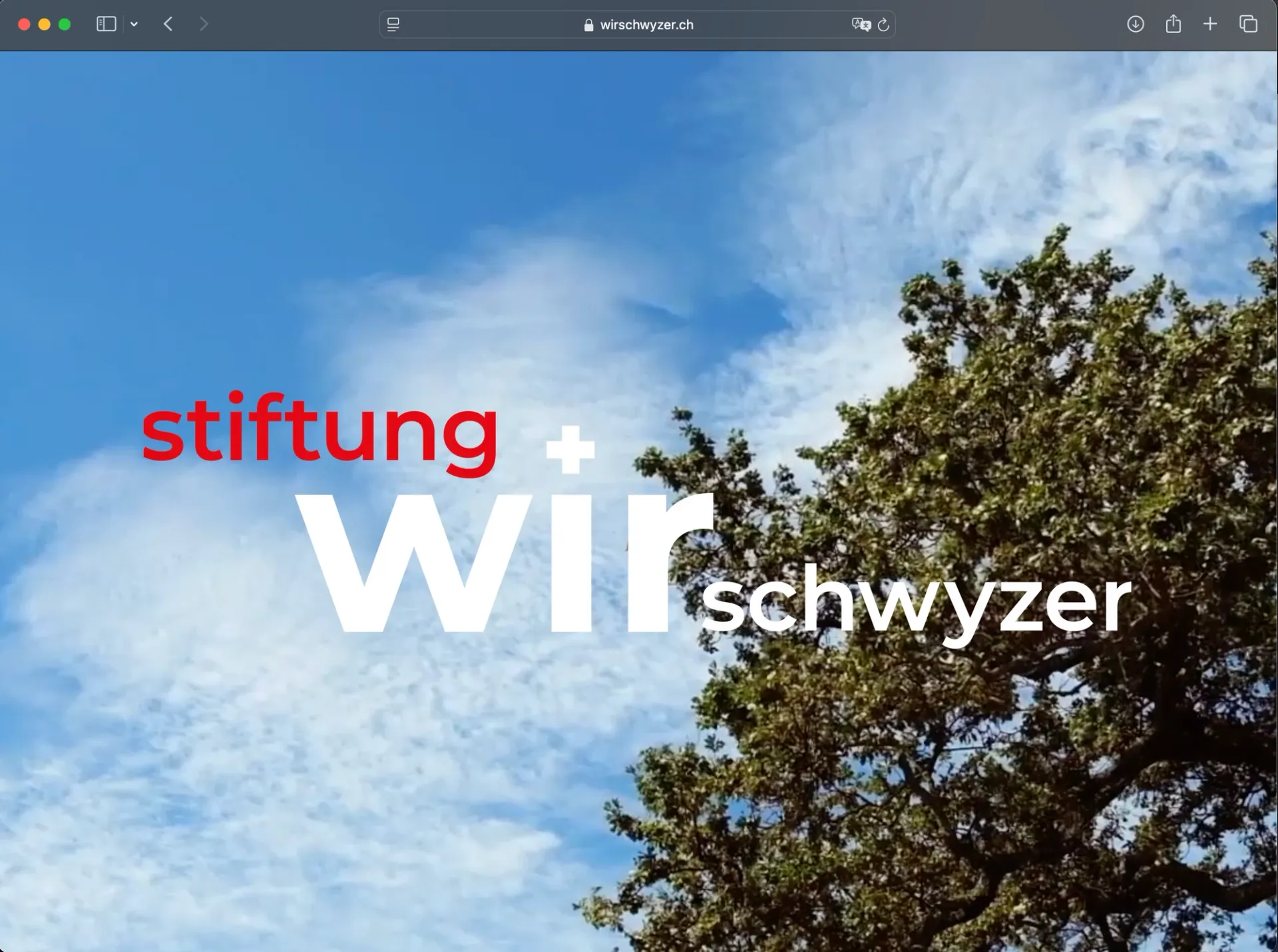 Visual aus dem Projekt Wir Schwyzer — project image 2