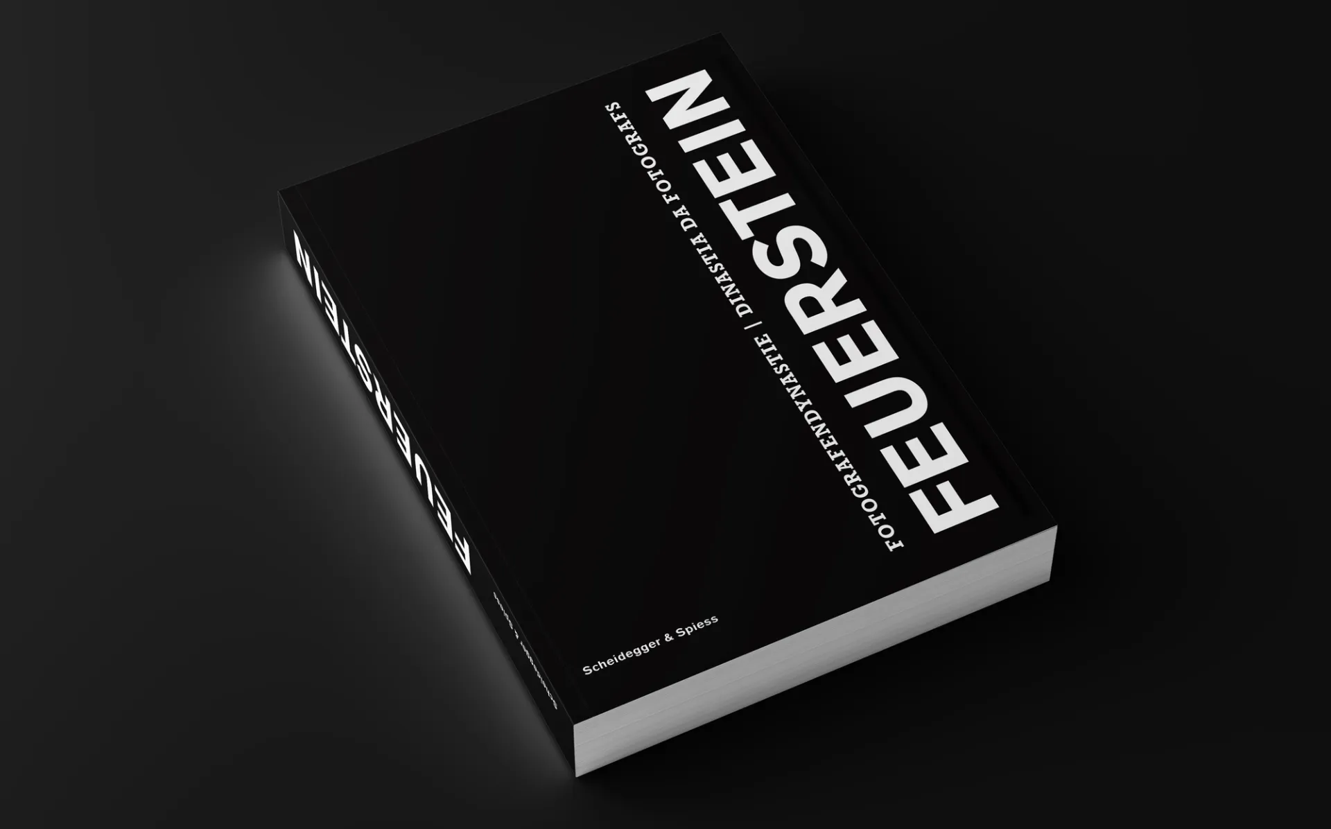 Изображение от проекта Feuerstein — project image 1