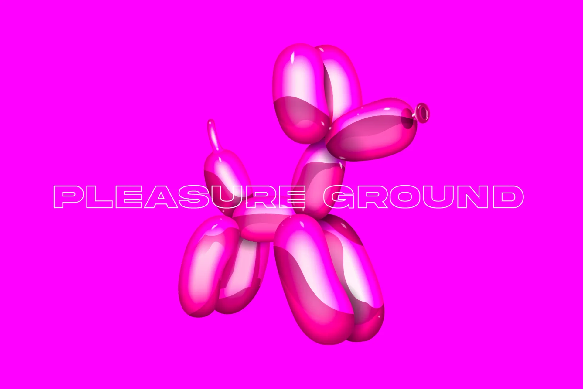 Изображение от проекта Pleasure Ground — project image 4