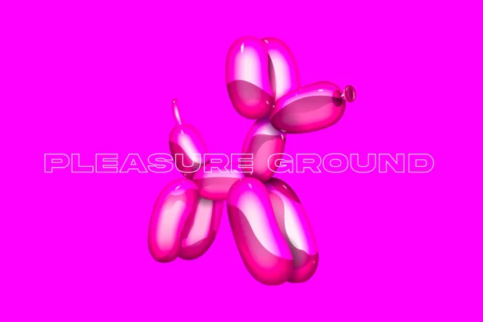 Към проект Pleasure Ground