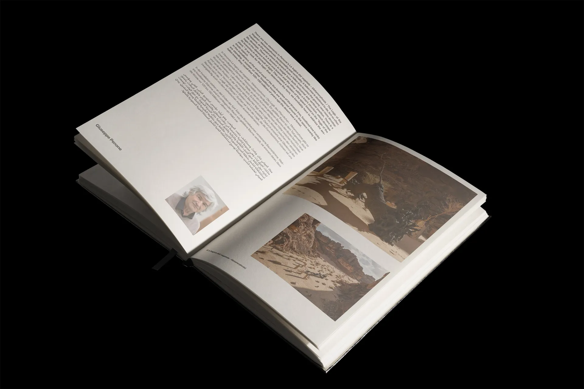 Visual aus dem Projekt AlUla × St. Moritz — project image 6