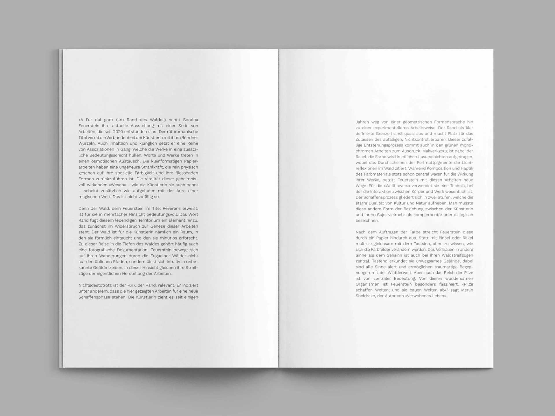 Visual from the A l'ur dal gad project — project image 5