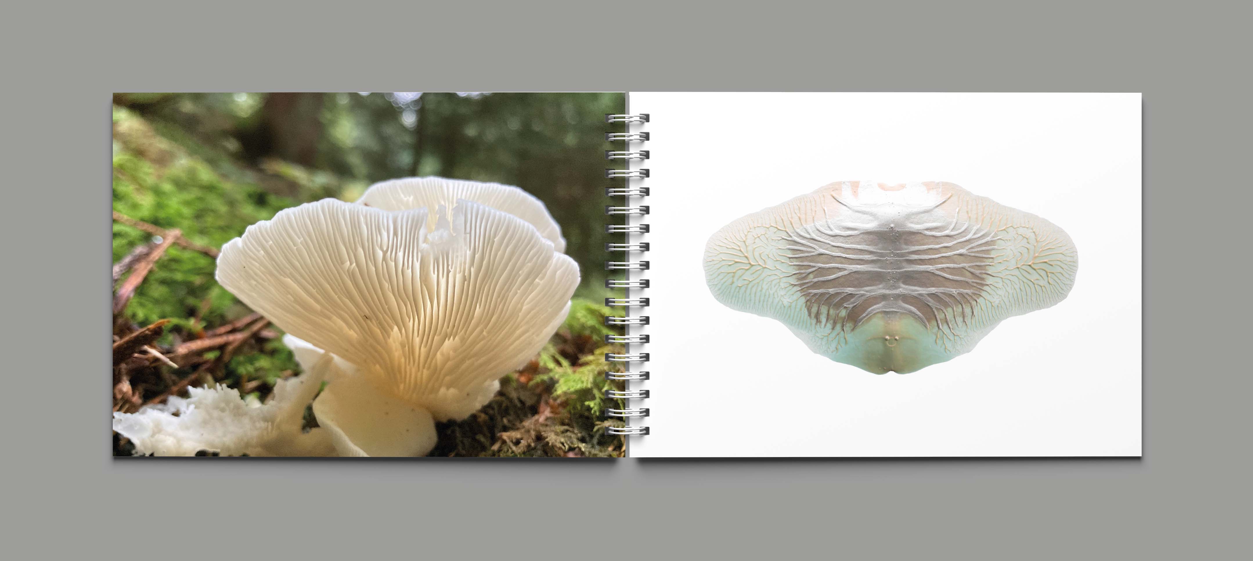 Visual from the Work Documentation project — project image 12