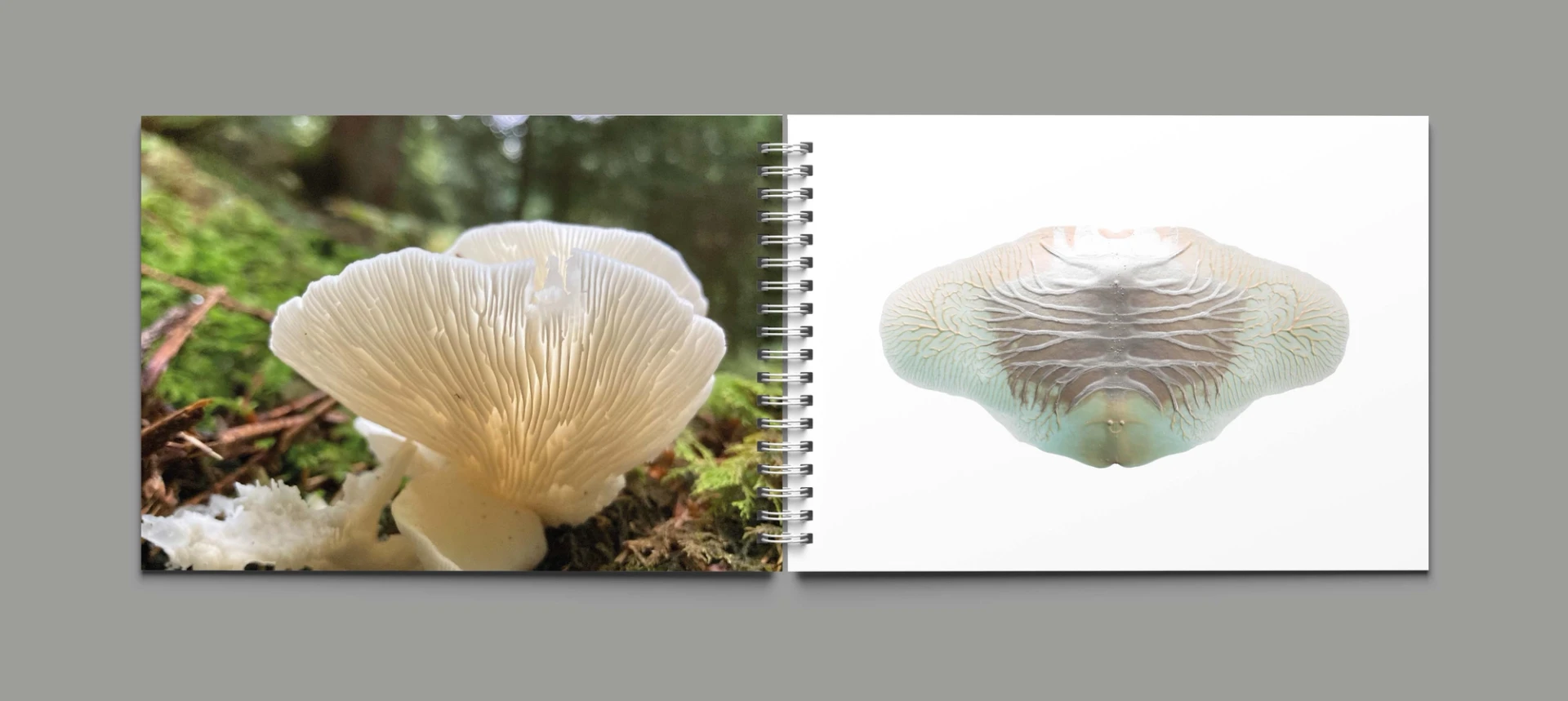 Visual from the Work Documentation project — project image 12