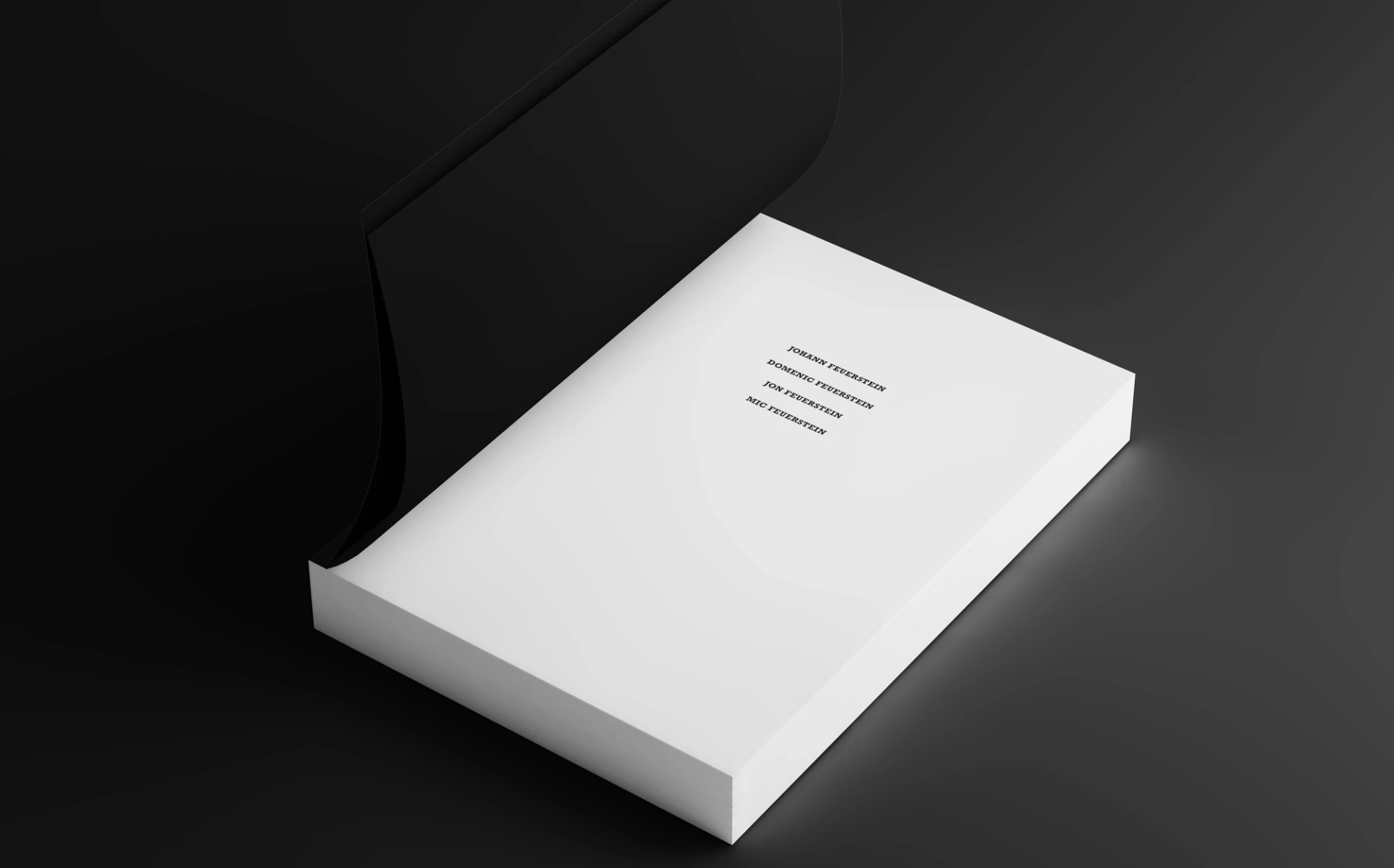 Visual aus dem Projekt Feuerstein — project image 5