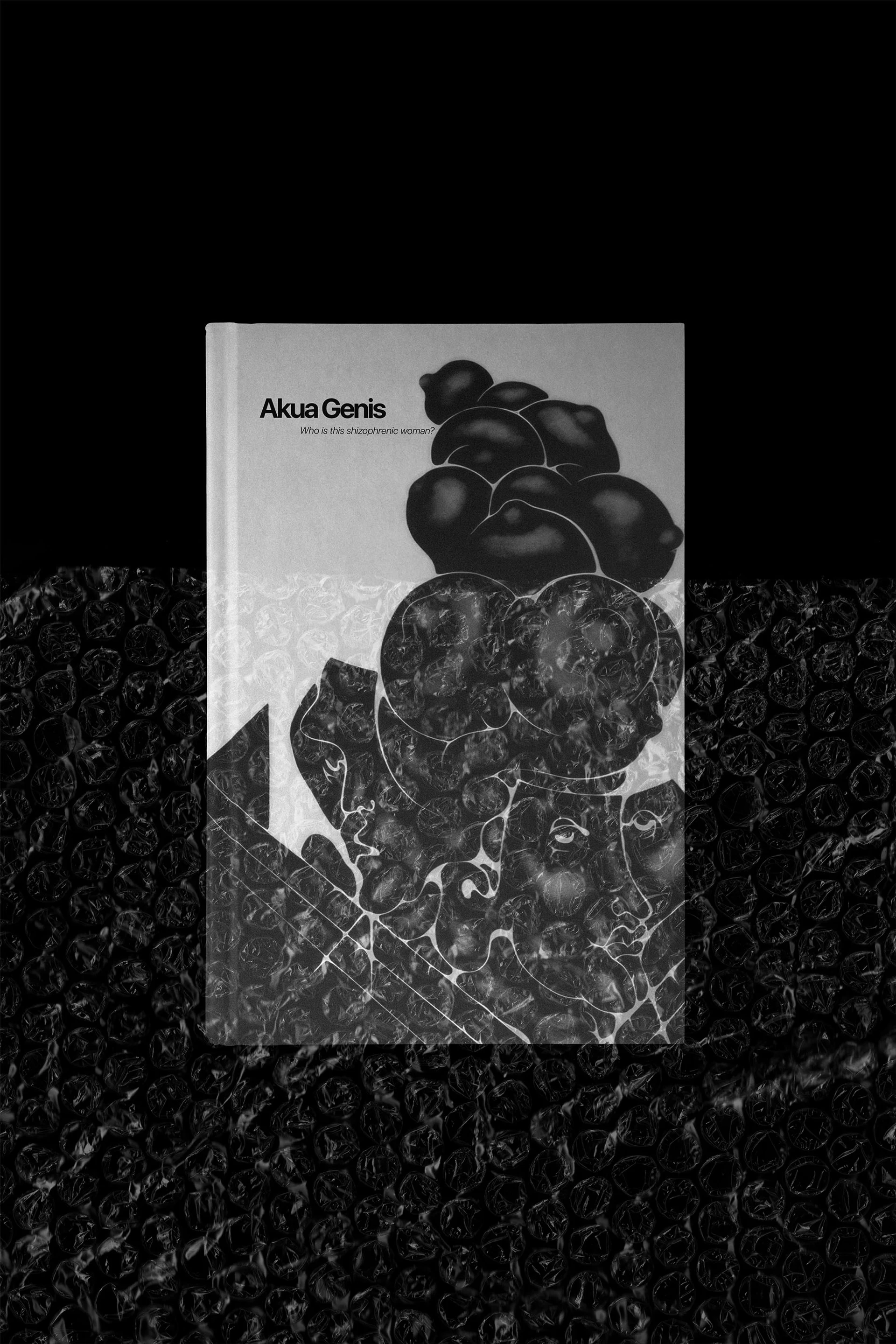 Visual aus dem Projekt Akua Genis — project image 2