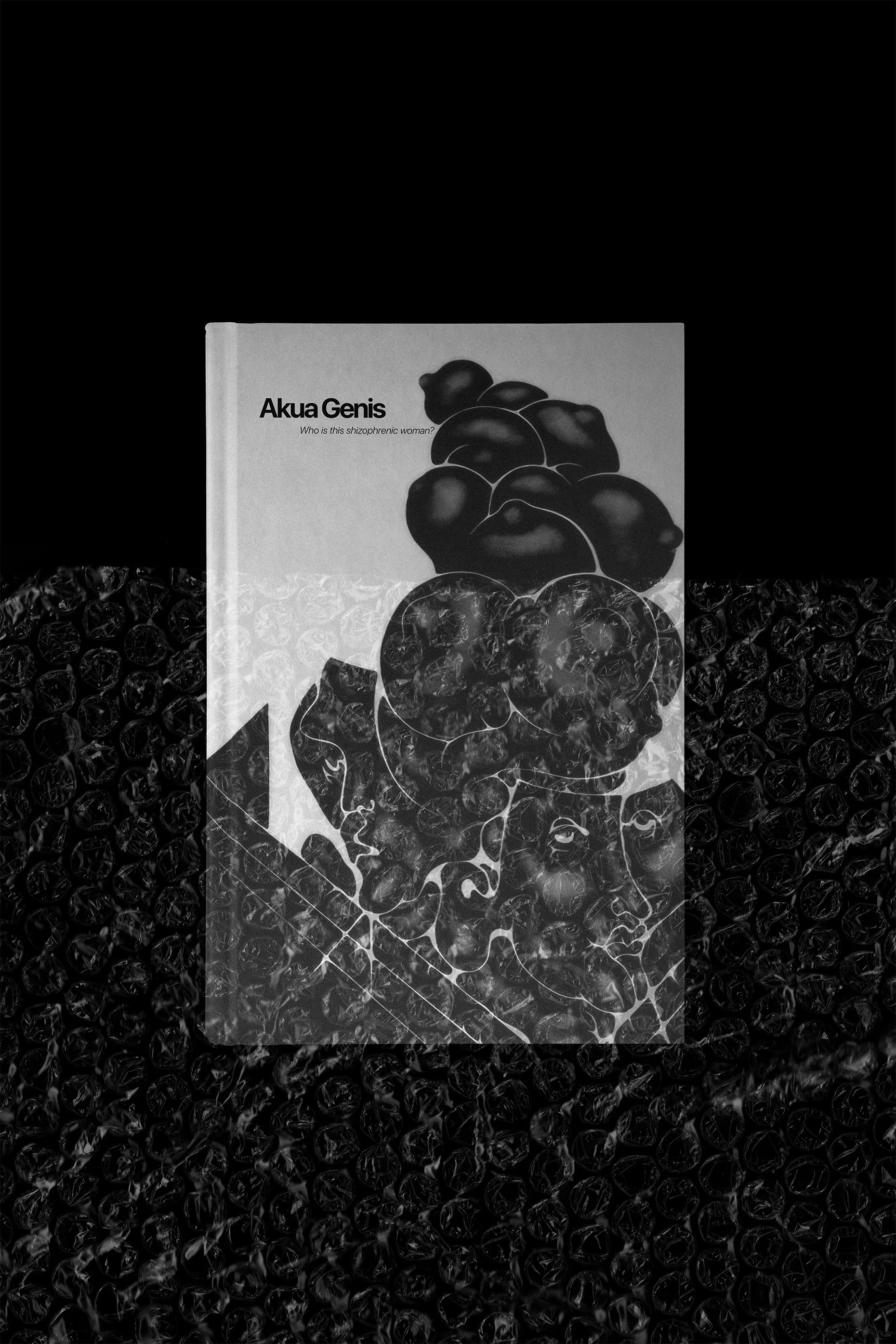 Visual aus dem Projekt Akua Genis — project image 2