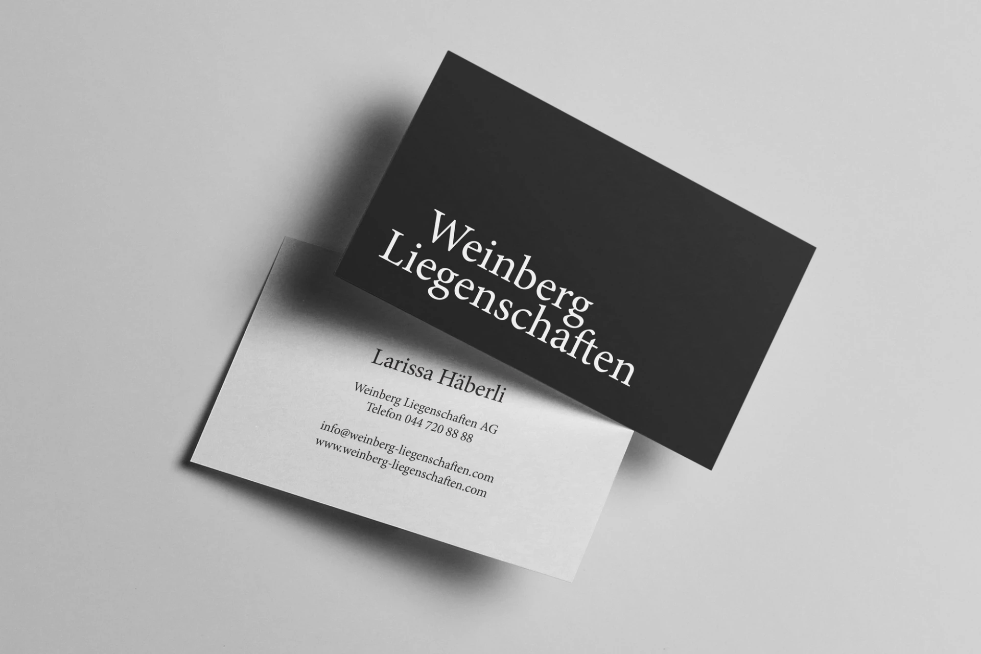 Visual from the Weinberg Liegenschaften project — project image 3