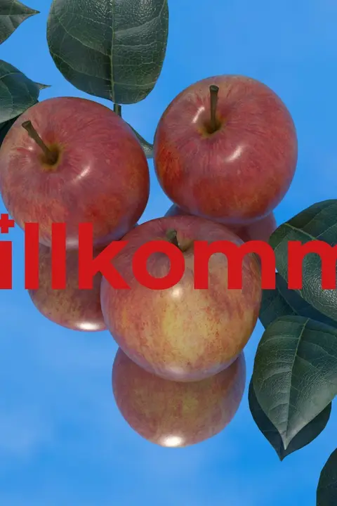 Zum Projekt Wir Schwyzer