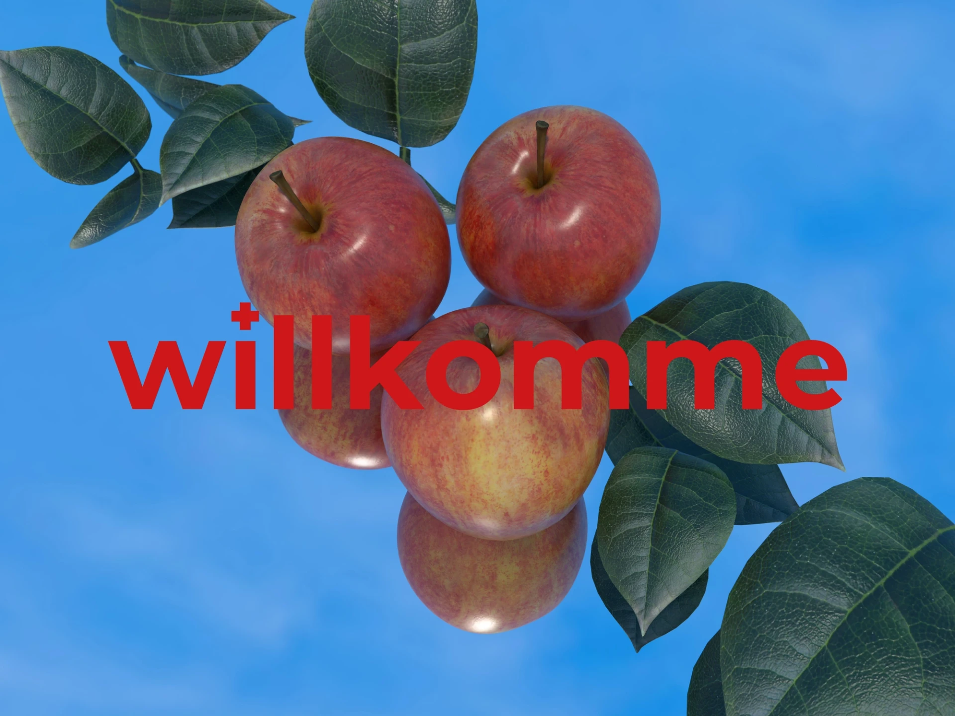 Zum Projekt Wir Schwyzer