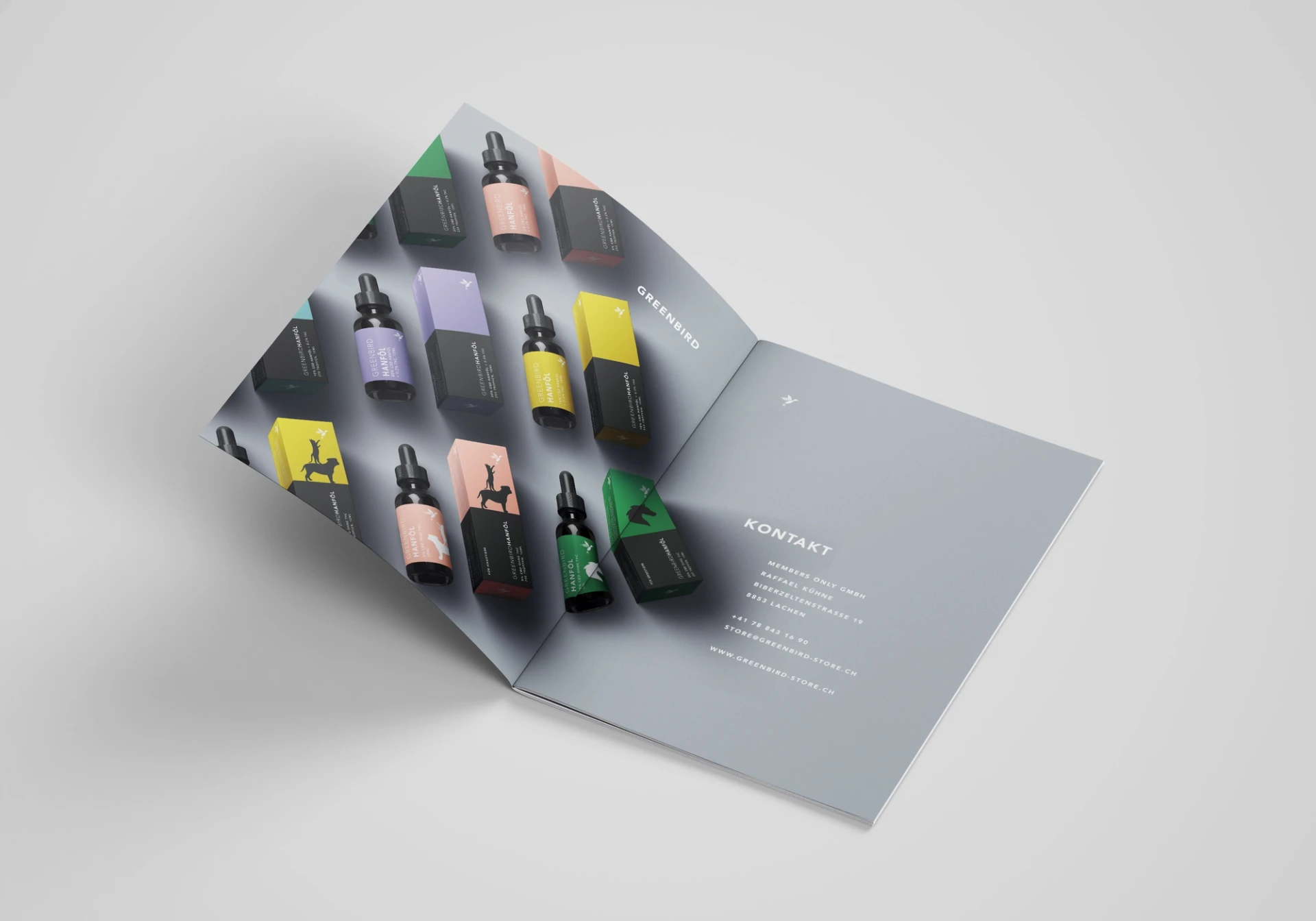 Visual aus dem Projekt Greenbird — project image 3