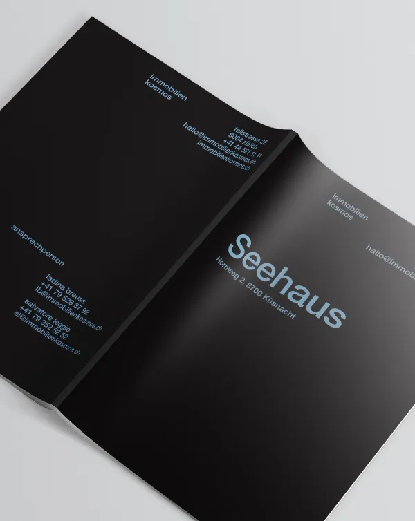 Към проект Seehaus Küsnacht