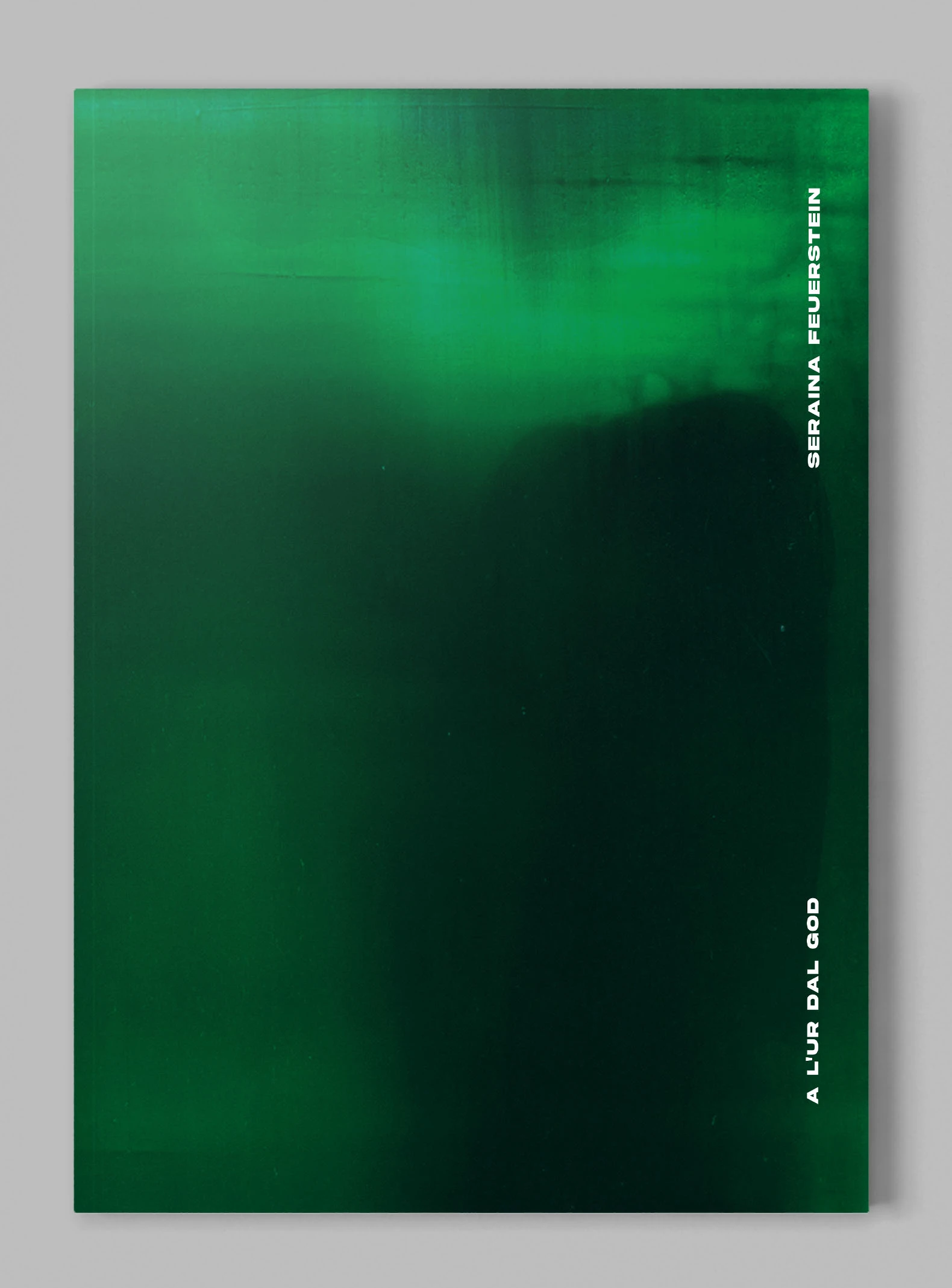 Visual from the A l'ur dal gad project — project image 1