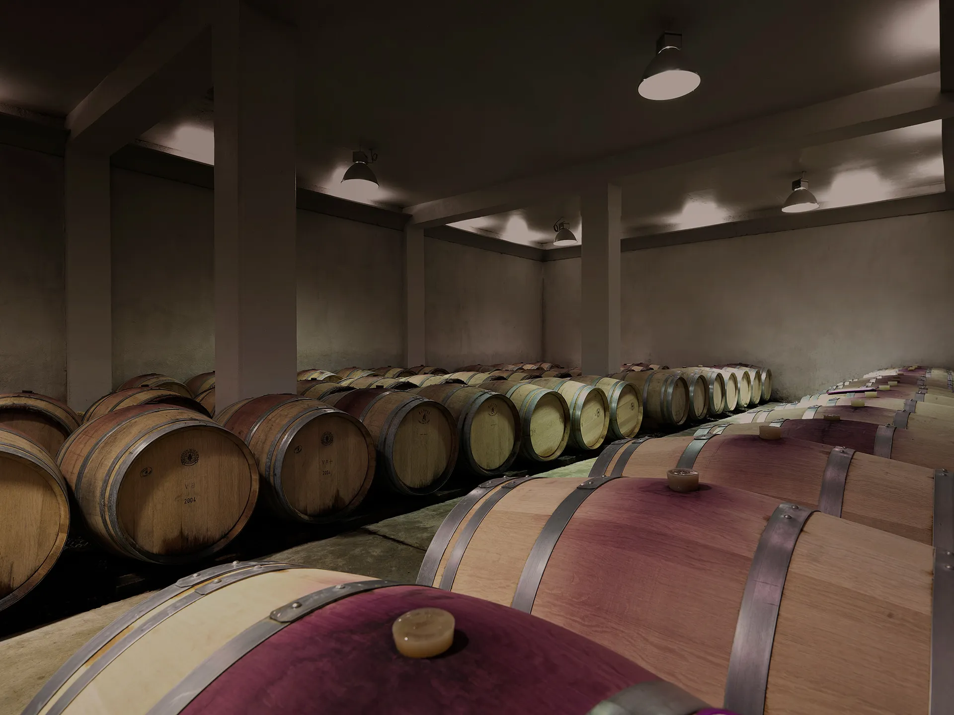 Visual aus dem Projekt Château Laquirou Winery — project image 6