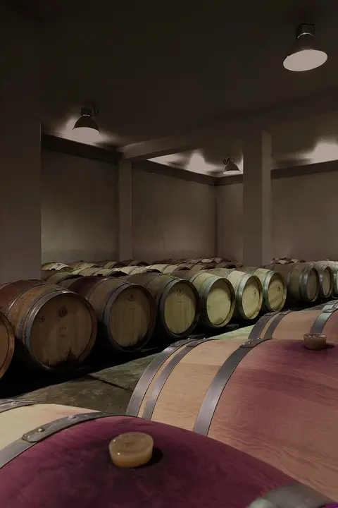 Zum Projekt Château Laquirou Winery